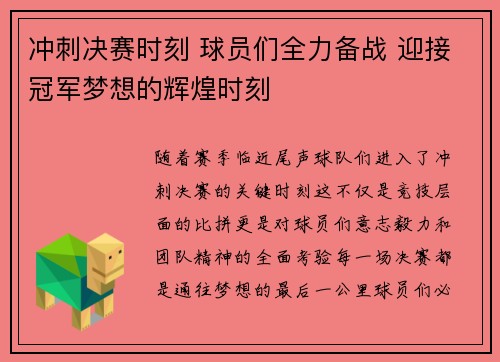 冲刺决赛时刻 球员们全力备战 迎接冠军梦想的辉煌时刻